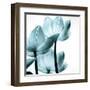 Translucent Tulips III Sq Aqua Crop-Debra Van Swearingen-Framed Art Print