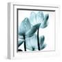 Translucent Tulips III Sq Aqua Crop-Debra Van Swearingen-Framed Art Print