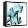 Translucent Tulips III Sq Aqua-Debra Van Swearingen-Framed Stretched Canvas