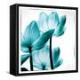 Translucent Tulips III Sq Teal-Debra Van Swearingen-Framed Stretched Canvas