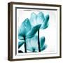 Translucent Tulips III Sq Teal-Debra Van Swearingen-Framed Art Print