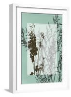 Translucent Wildflowers I-Jennifer Goldberger-Framed Art Print
