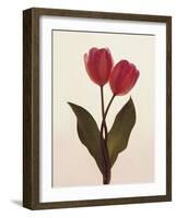 Transparent Beauty I-Katja Marzahn-Framed Giclee Print