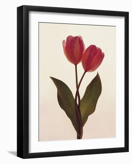 Transparent Beauty I-Katja Marzahn-Framed Giclee Print