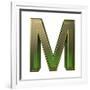 Transparent Emerald Green Alphabet With Gold Edging, 3D Letter M Isolated On White-Andriy Zholudyev-Framed Art Print