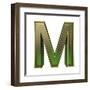 Transparent Emerald Green Alphabet With Gold Edging, 3D Letter M Isolated On White-Andriy Zholudyev-Framed Art Print