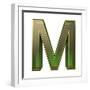 Transparent Emerald Green Alphabet With Gold Edging, 3D Letter M Isolated On White-Andriy Zholudyev-Framed Art Print