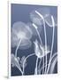 Transparent Flora 6-Albert Koetsier-Framed Art Print
