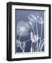 Transparent Flora 6-Albert Koetsier-Framed Art Print