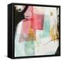 Transparent I-PI Studio-Framed Stretched Canvas