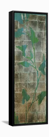 Transparent Leaves II-Liz Jardine-Framed Stretched Canvas