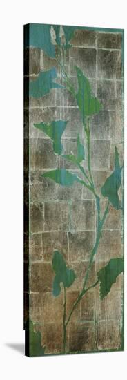 Transparent Leaves II-Liz Jardine-Stretched Canvas