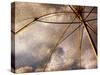 Transparent Weather-Ursula Abresch-Stretched Canvas