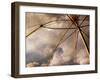 Transparent Weather-Ursula Abresch-Framed Photographic Print