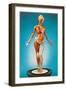 Transparent Woman Showing Internal Organs-null-Framed Art Print