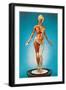 Transparent Woman Showing Internal Organs-null-Framed Art Print