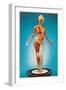 Transparent Woman Showing Internal Organs-null-Framed Art Print