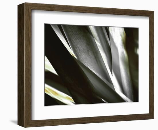 Transparent-Andrew Michaels-Framed Photographic Print