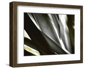 Transparent-Andrew Michaels-Framed Photographic Print