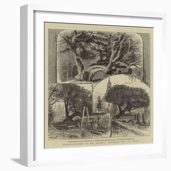 Transplantation of the Ancient Buckland Yew at Dover-William Henry James Boot-Framed Giclee Print