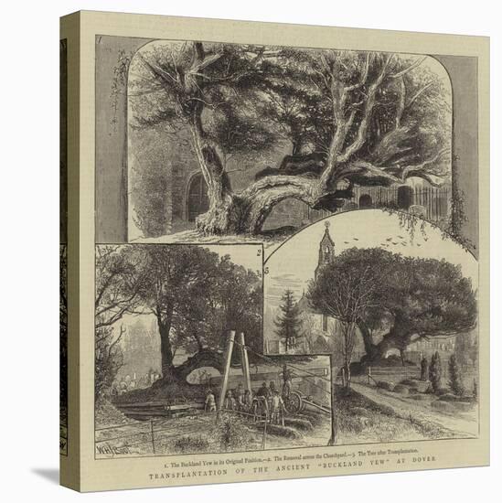 Transplantation of the Ancient Buckland Yew at Dover-William Henry James Boot-Stretched Canvas