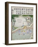 Transplanting, the Rice Culture in China-null-Framed Giclee Print