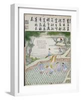 Transplanting, the Rice Culture in China-null-Framed Giclee Print