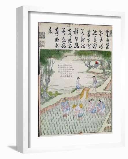 Transplanting, the Rice Culture in China-null-Framed Giclee Print