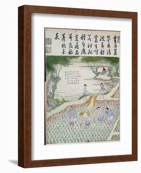 Transplanting, the Rice Culture in China-null-Framed Giclee Print