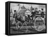 Transport, by Ostrich-null-Framed Stretched Canvas