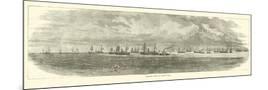 Wood Mount