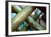 Transport Lines-Dana Styber-Framed Photographic Print