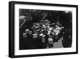 Transportation of £14,000,000 of Bullion on the British Battleship HMS Malaya, 1940-null-Framed Giclee Print