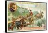 Transportation of Goods Made by Bartolomeus Welser across the Alps-null-Framed Stretched Canvas
