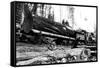 Transporting Fallen Old Growth-Clark Kinsey-Framed Stretched Canvas