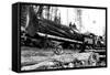 Transporting Fallen Old Growth-Clark Kinsey-Framed Stretched Canvas
