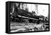 Transporting Fallen Old Growth-Clark Kinsey-Framed Stretched Canvas