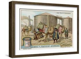 Transporting Naptha by Camel at Baku-null-Framed Giclee Print
