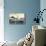 Transports Maritimes, Sgtm, Sidi Brahim, Dampfer-null-Stretched Canvas displayed on a wall