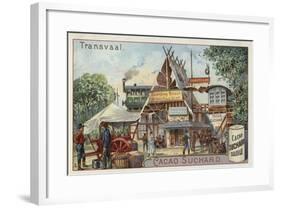 Transvaal-null-Framed Giclee Print