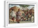 White Frame