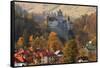 Transylvania, Historic gothic castle in autumn.-Emily Wilson-Framed Stretched Canvas