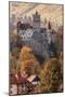 Transylvania, Historic gothic castle in autumn.-Emily Wilson-Mounted Photographic Print