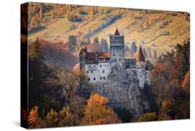 Transylvania, Historic gothic castle in autumn.-Emily Wilson-Stretched Canvas