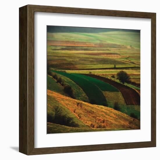 Transylvania I-Crina Prida-Framed Art Print