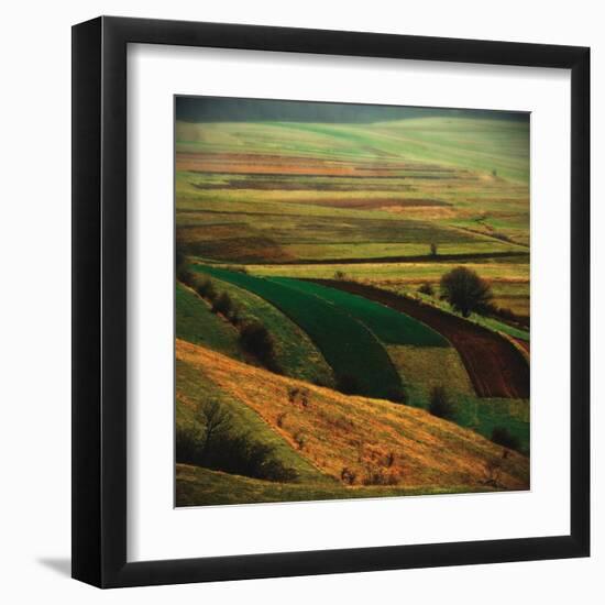 Transylvania I-Crina Prida-Framed Art Print