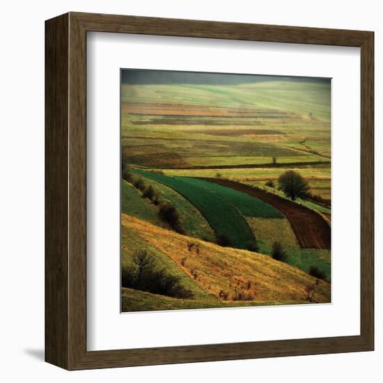 Transylvania I-Crina Prida-Framed Giclee Print