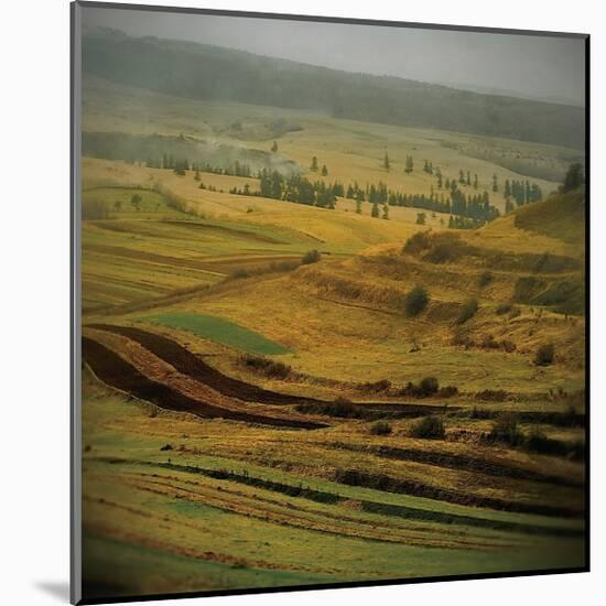 Transylvania IV-Crina Prida-Mounted Giclee Print