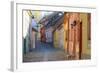 Transylvania, Romania, Mures County, Sighisoara, cobblestone residential streets.-Emily Wilson-Framed Photographic Print