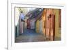 Transylvania, Romania, Mures County, Sighisoara, cobblestone residential streets.-Emily Wilson-Framed Photographic Print